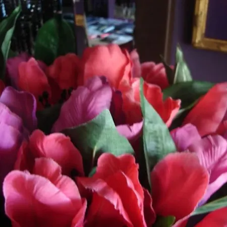Morada Das Flores Porto Alegre Exterior photo