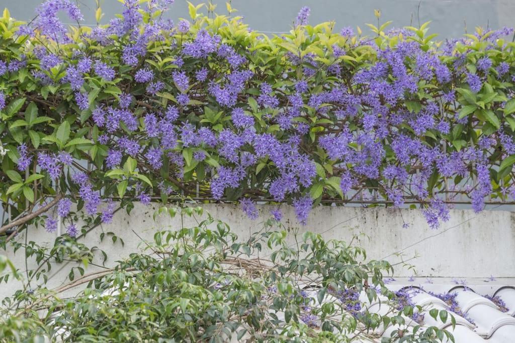 Morada Flores Homestay