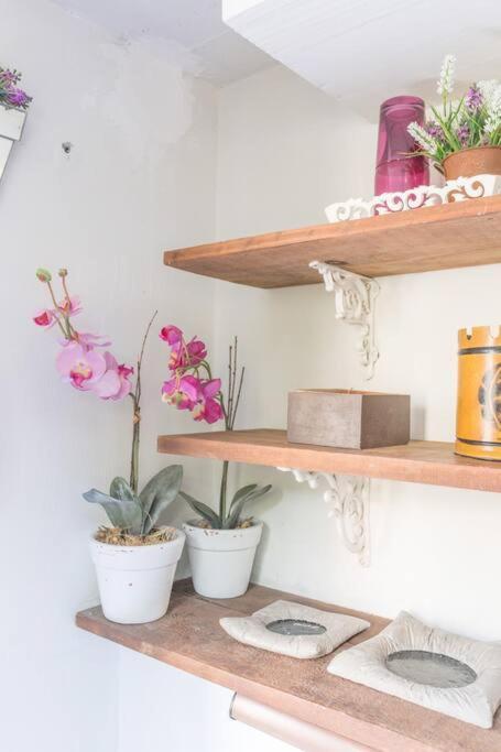 Morada Flores Homestay Porto Alegre