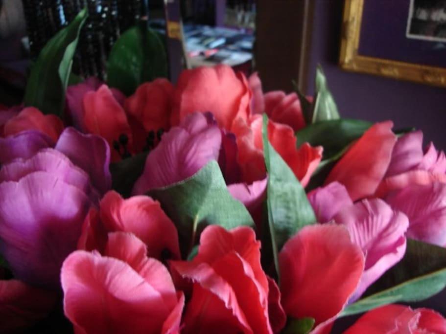 Morada Flores Homestay Porto Alegre