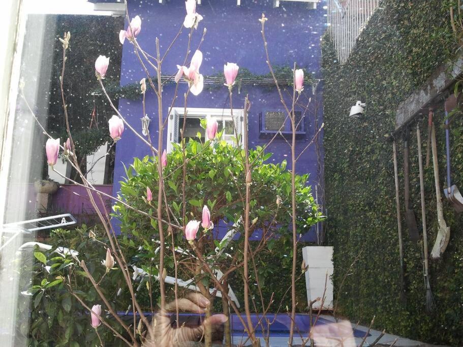 Homestay Morada Flores Porto Alegre